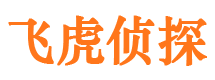 武侯市婚姻出轨调查